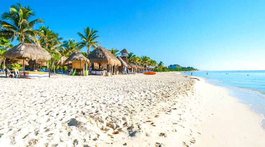 I nostri servizi di noleggio auto offrono una vasta selezione di veicoli a Playa del Carmen.